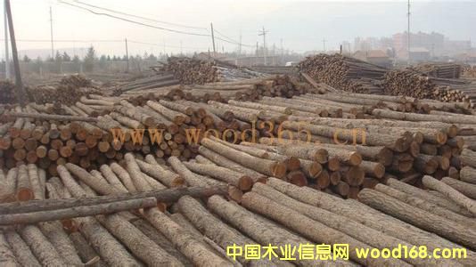 ���~��ԭľ��Ԕ��(x��)��B