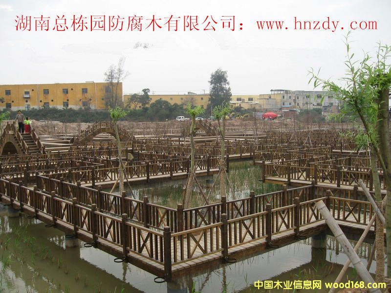 ����ľ������Ԕ����B