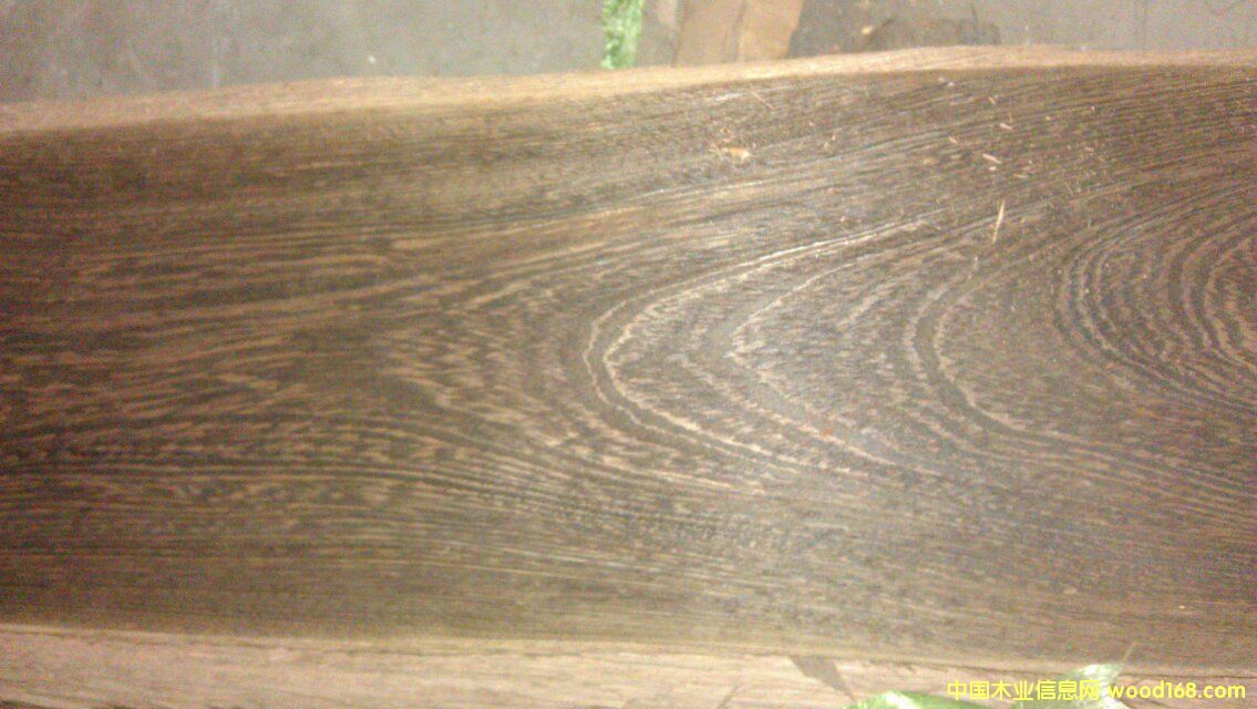 �u�ᡢ�F��ľƤ������Ԕ����B