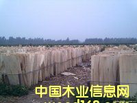 ��ľо���Ԕ����B