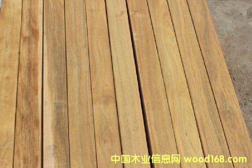 �c���鿴�����S����ľ��r��Ԕ���Y��