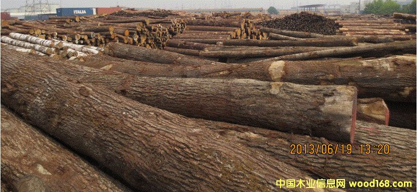 �W�ް����Ԕ����B