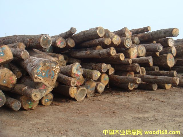 �W�ް����Ԕ����B