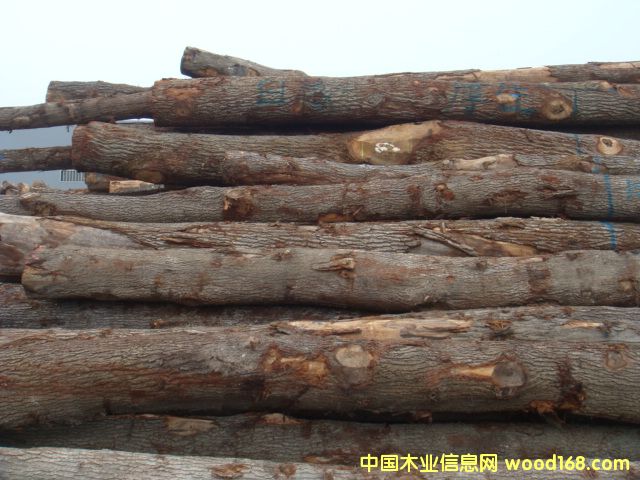 �W�ް����Ԕ����B