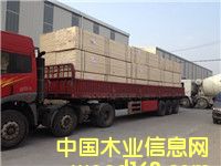 ��Ѭ��ľ����Ԕ����B