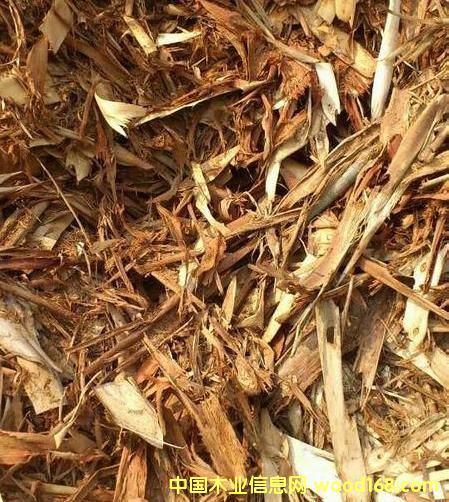 ��ľ��Ƥ��Ԕ����B