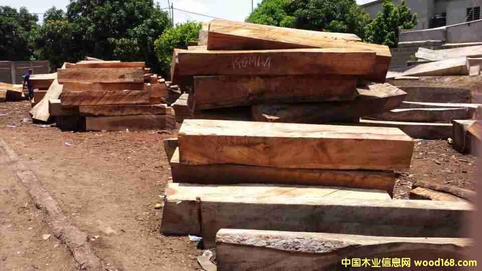 �S̴��Ԕ����B