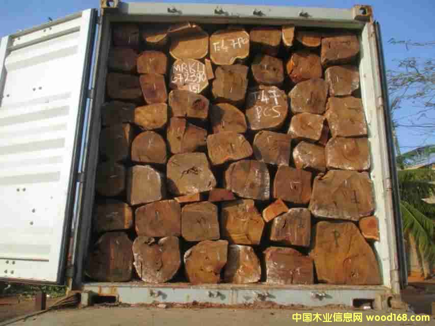 ���޻����Ԕ����B