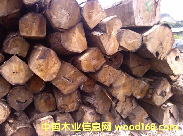 �Ӽ{  �����̴�������棩