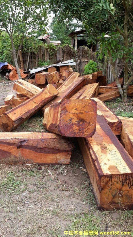 �����̴��Ԕ��(x��)��B