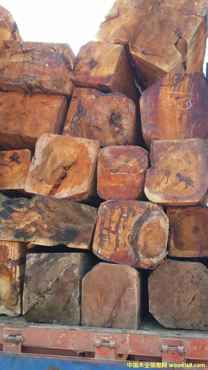 �ϓ뻨�棨�����̴����Ԕ��(x��)��B