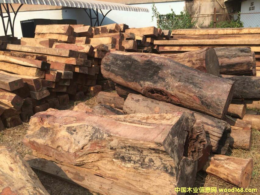 ����ľ��Ԕ��(x��)��B