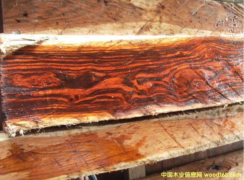 ���~�S�����Ԕ����B