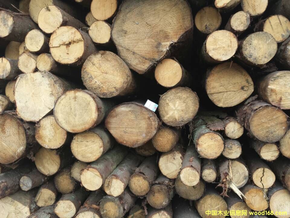 �W����ɼԭľ  ֱ����10cm-19cm��Ԕ����B