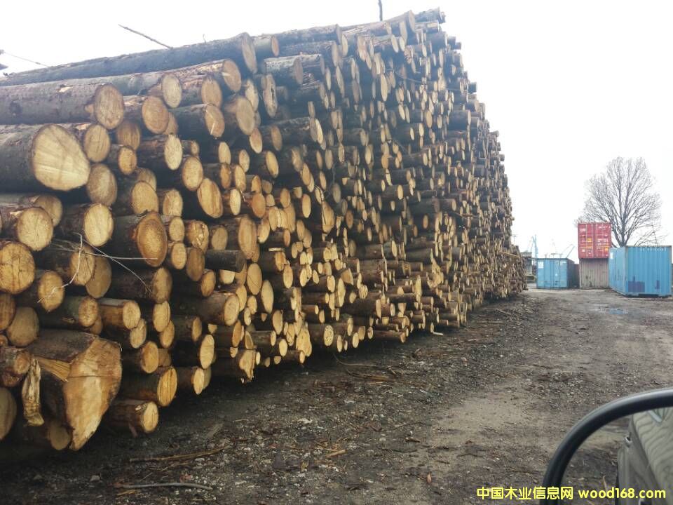 �W����ɼԭľ ֱ����20cm�����ϵ�Ԕ����B