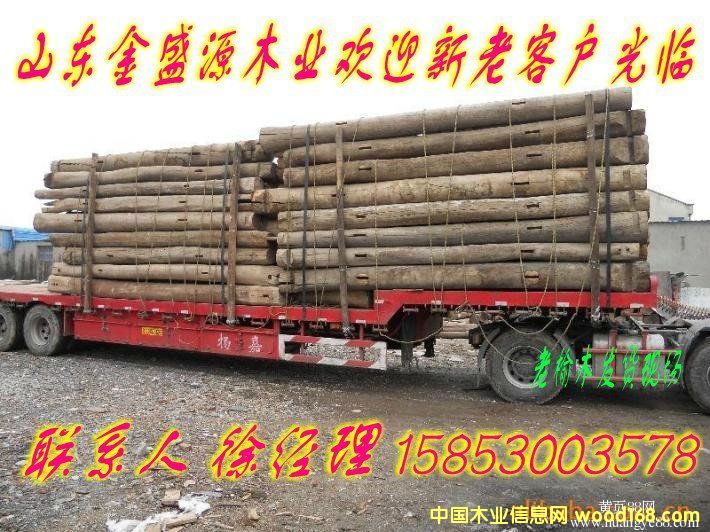 榆木梁的詳細(xì)介紹