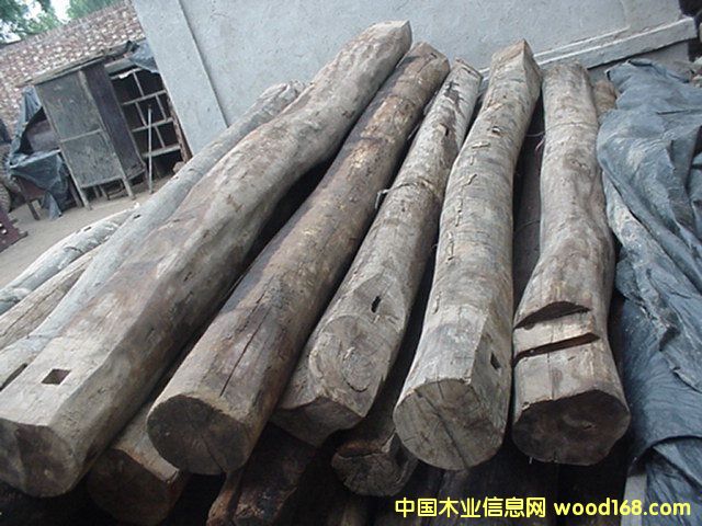 啦榆木的詳細(xì)介紹