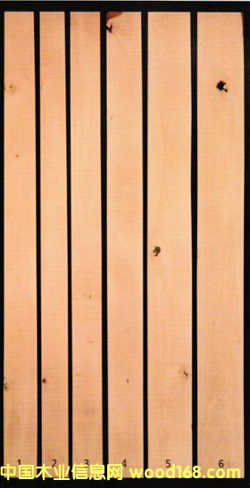 CAB���񼉙�ľɰ����26m