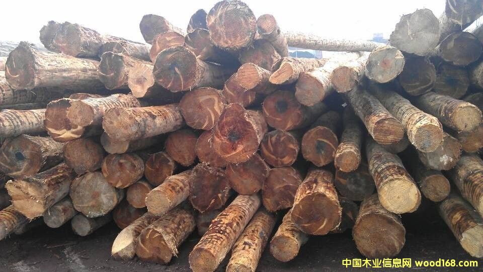 �����Ϸ���ԭľ��Ԕ��(x��)��B