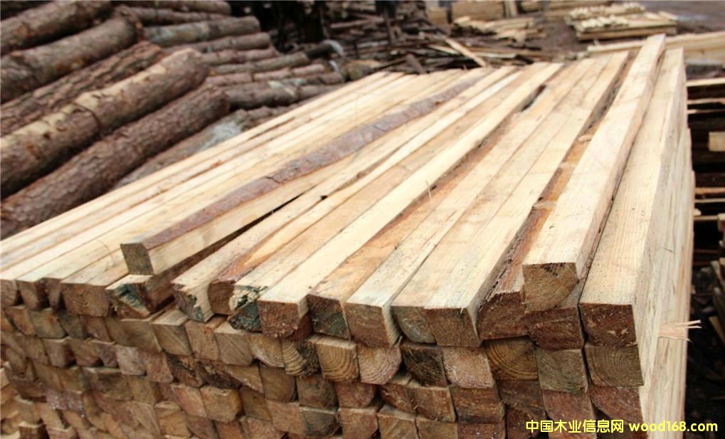 松木方條的詳細(xì)介紹