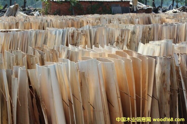 ���o(w��)���Ԕ��(x��)��B