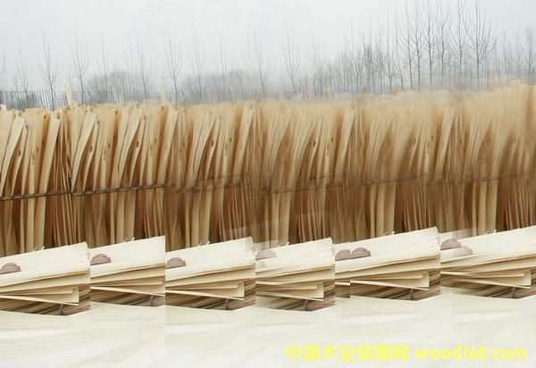 �ؼ�(j��)��ľ�ΰ��Ԕ��(x��)��B