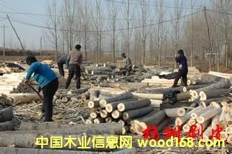 ��(sh��)ľ�ΰ��Ԕ��(x��)��B