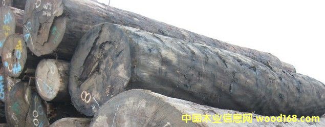 �R����������Ӳľ