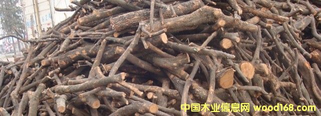 ���ǟ��������O��ľ.��ľ.��ľ