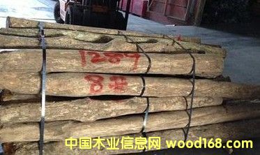 �S��ԭľ ������ɽС�~�S��ľ