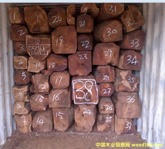 �������Ԕ����B