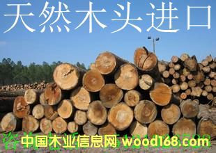 �c���鿴ľ�ķŴ�DƬ