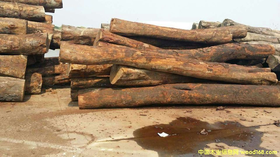 �������棨�Z�аͣ�