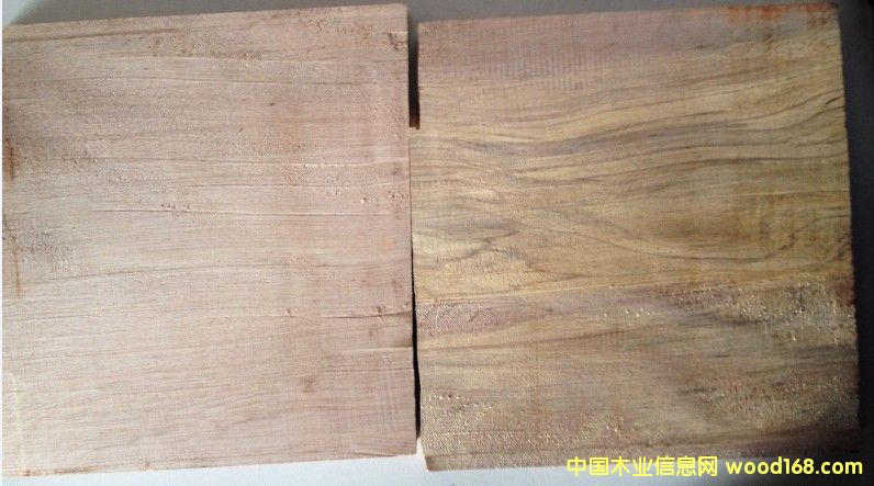 ��ľ���¼t���ң�����Ԕ����B