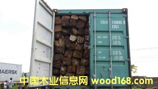 ���������������Ԕ����B