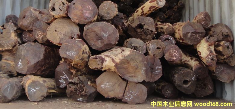 Ѫ̴��Ԕ����B