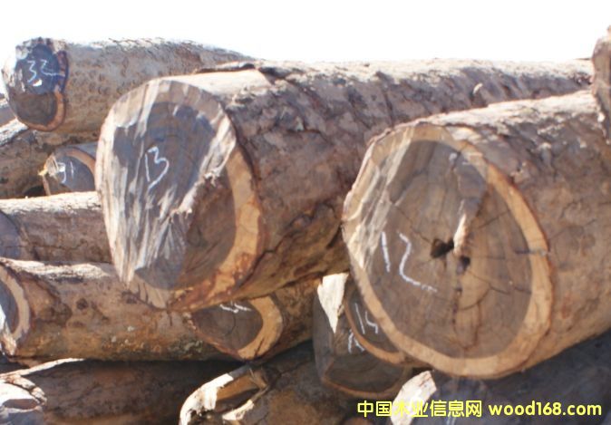 ����Ѫ̴��Ԕ����B