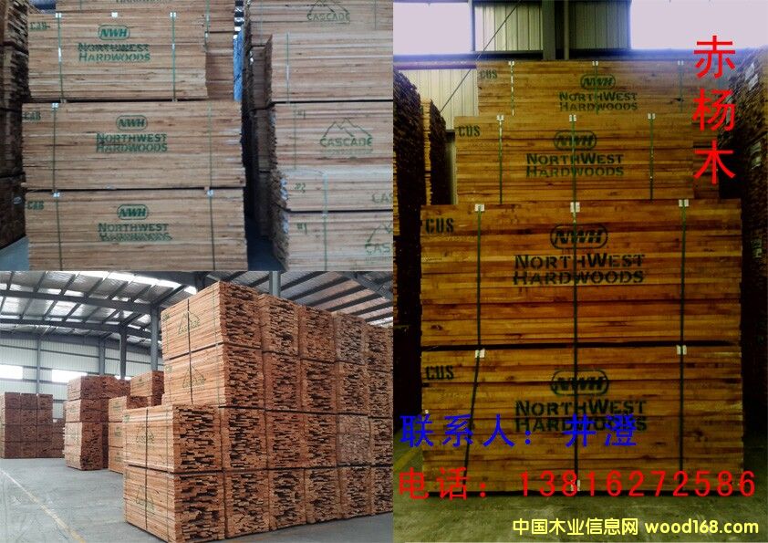 ���Alder��