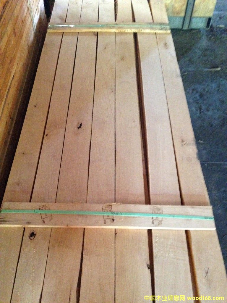 ���������ĵ�Ԕ����B