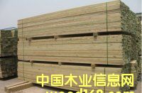 芬蘭木的詳細介紹