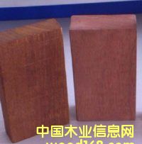 欖仁木 的詳細介紹