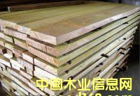 山樟木的詳細介紹