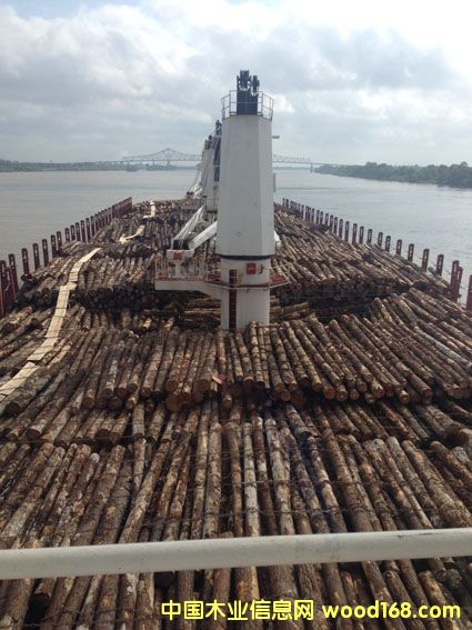 ��ľ����ľ����ľ