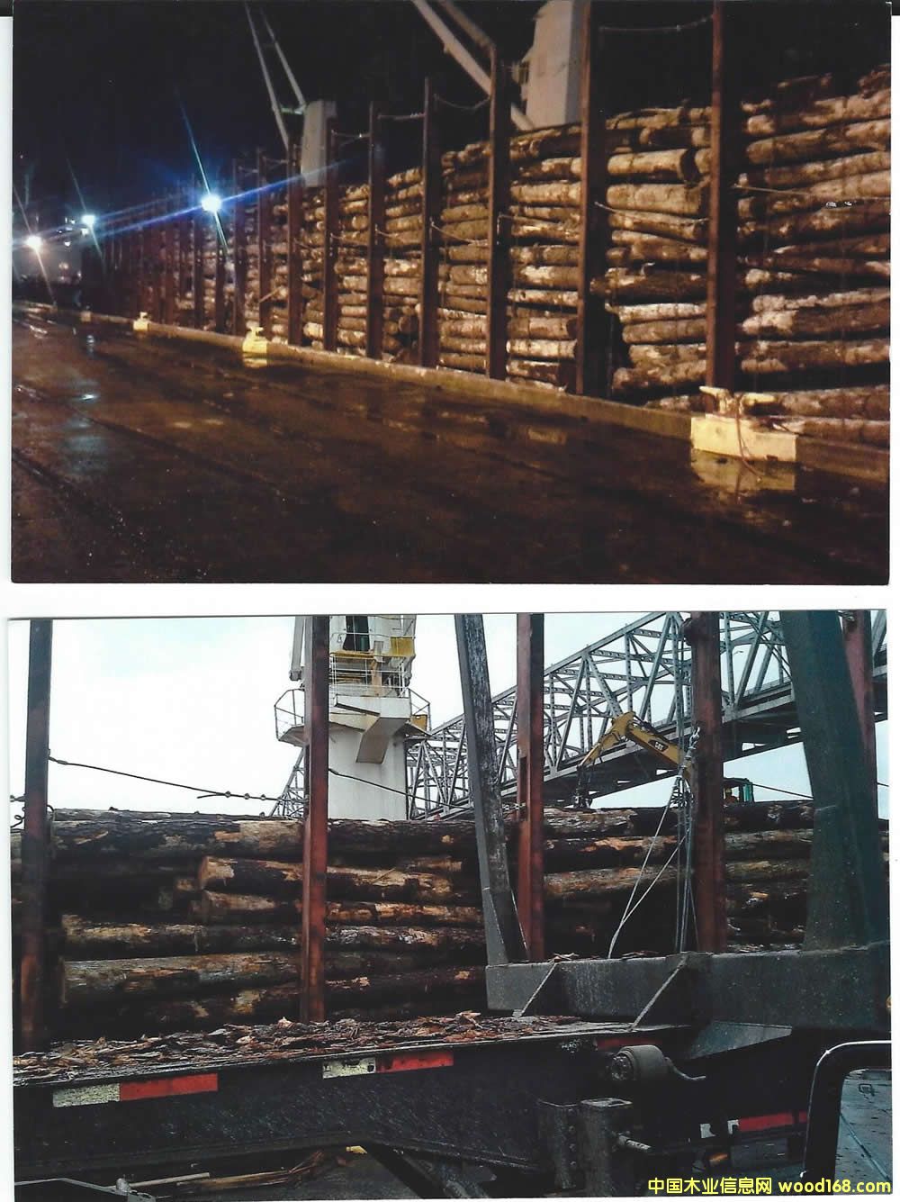 �Ϸ��� Southern Yellow Pine logs ��Ԕ��(x��)��B