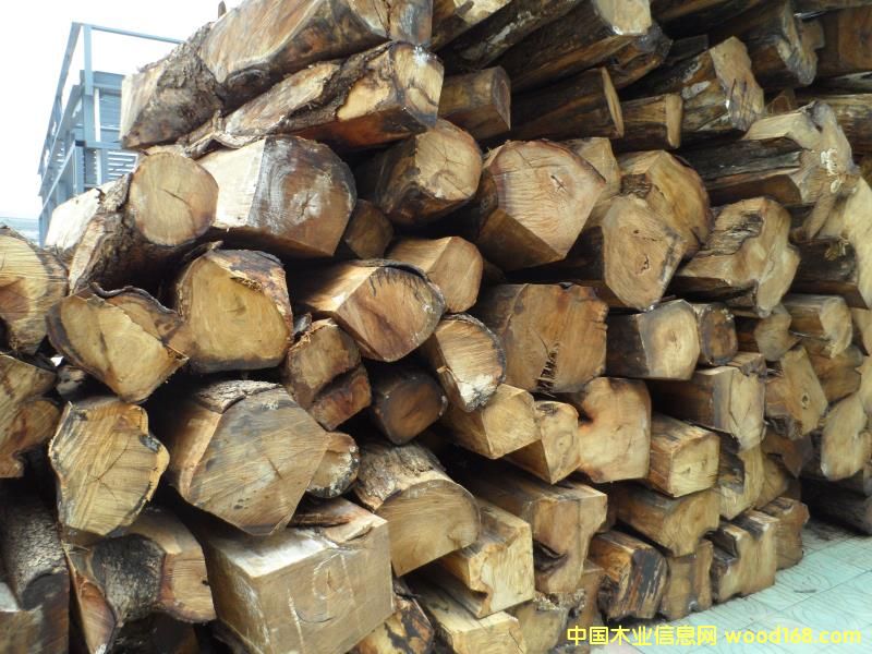 �������Ԕ����B