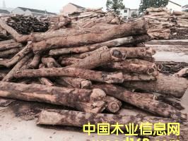 ����С�~��̴��Ԕ����B