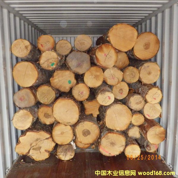 ��ľԭľ��Ԕ����B