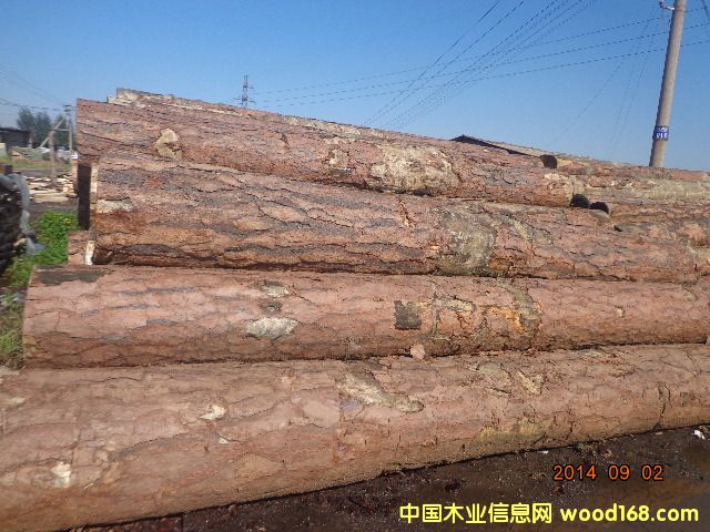 ����ԭľ��Ԕ����B