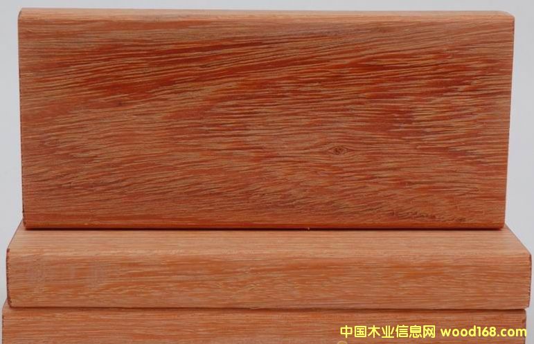 �c���鿴����˹  ����˹�r��  ��������˹�Ŵ�DƬ