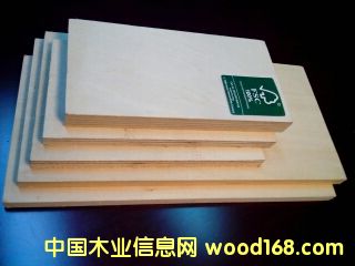 [��] �M�����w��FSC�J�C